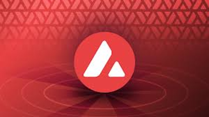 Avalanche（AVAX）暴涨原因  雪崩协议为何吸引开发者？ - php中文网